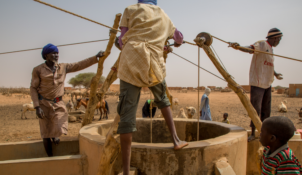 Image courtesy of IOM UN Migration